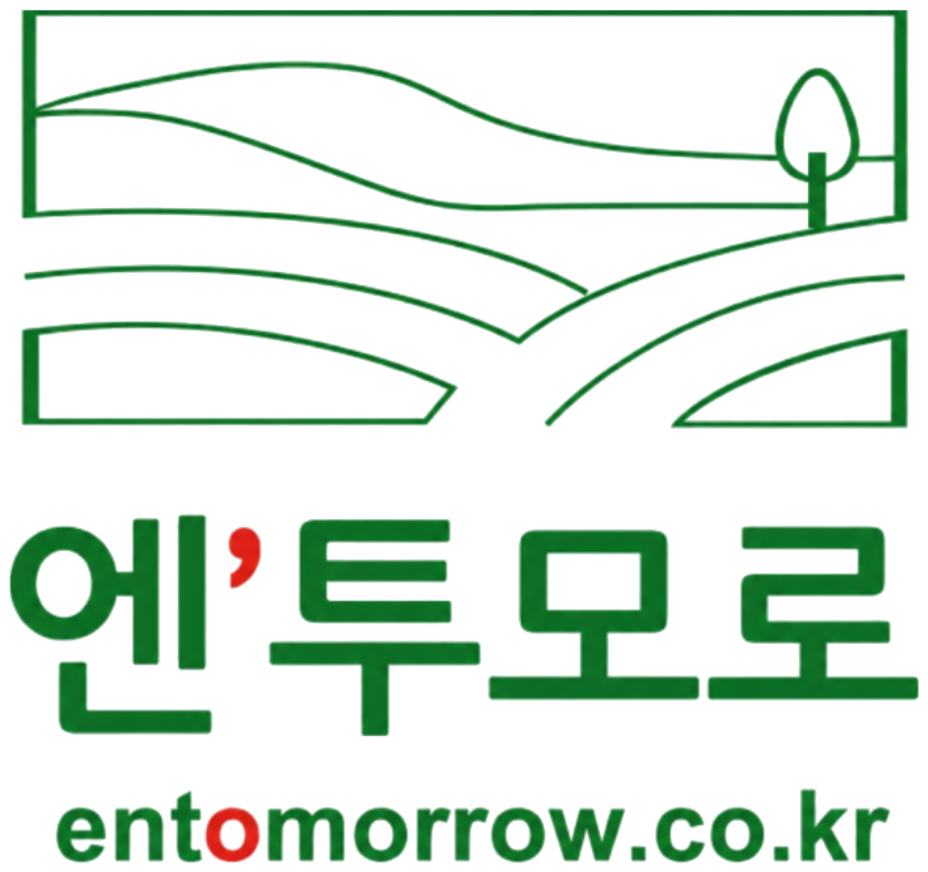 엔투모로 entomorrow.co.kr